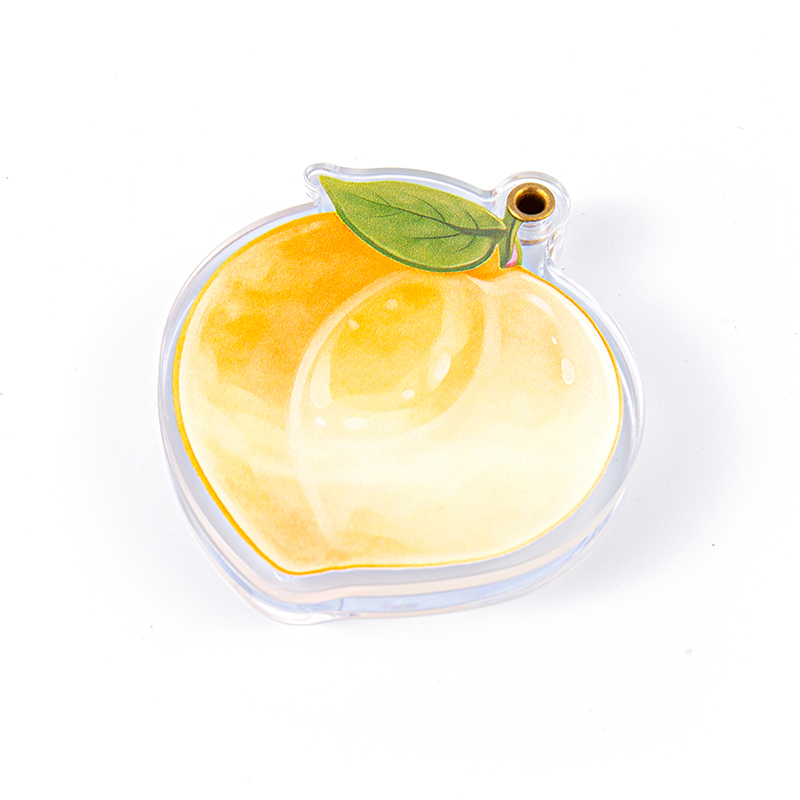 2508 Peach Single Compartment Hanging Blush Case
